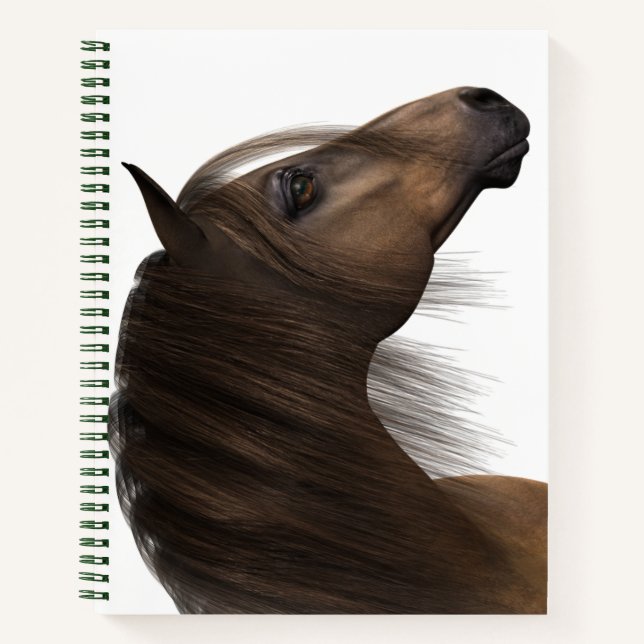 Deluxe Spiral Notebook (Front)