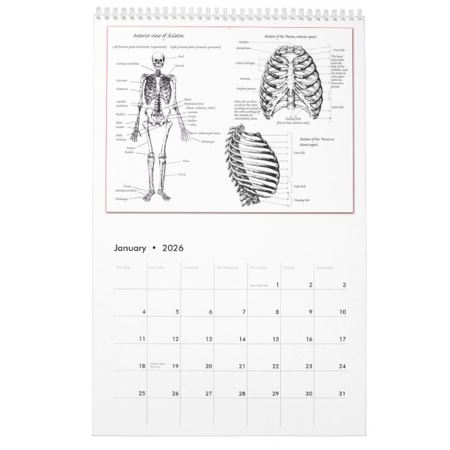 Dem Bones Calendar (Jan 2026)