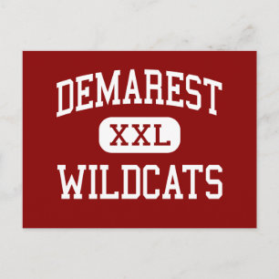 Demarest - Wildcats - Middle - Demarest New Jersey Postcard