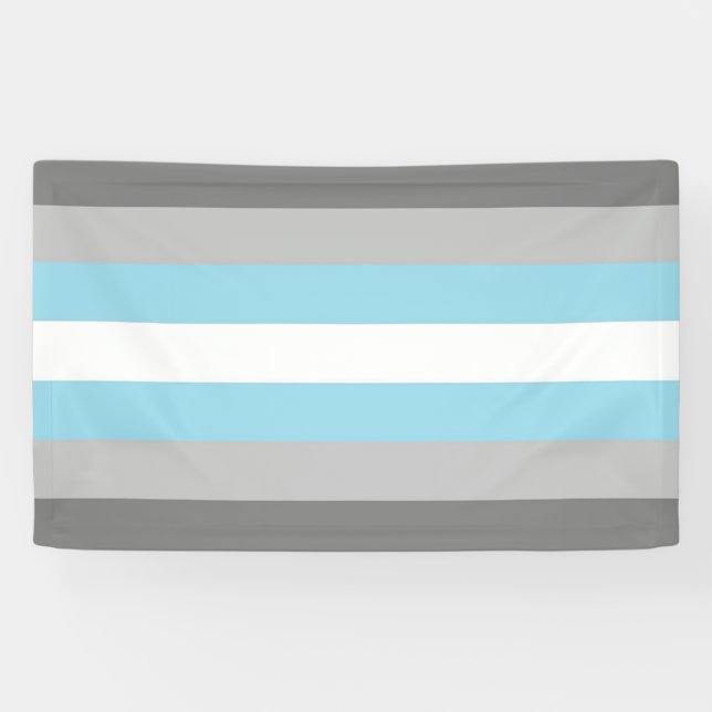 DemiBoy flag Banner (Horizontal)