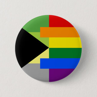 Demiromantic Homosexual Pin