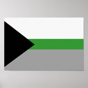 Demiromantic Pride Poster