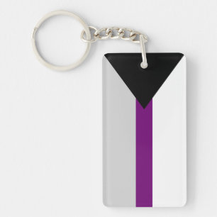 Demisexual Flag sexuality symbol gender identity Key Ring