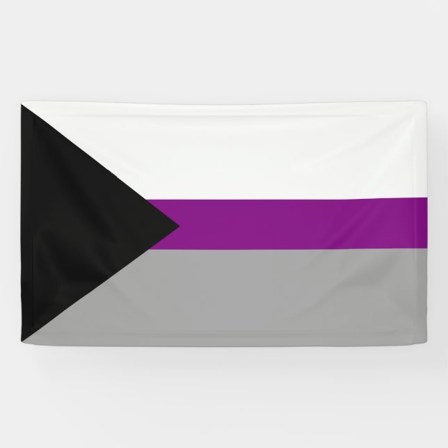 Demisexual Pride Banner (Horizontal)