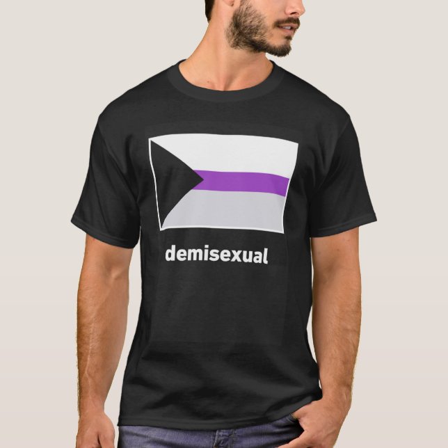 Demisexual Pride Flag Demisexual Flag T-Shirt (Front)