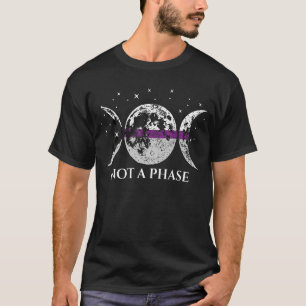Demisexual Pride Flag Not A Phase T-Shirt