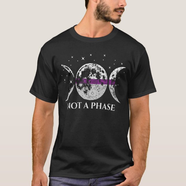 Demisexual Pride Flag Not A Phase T-Shirt (Front)