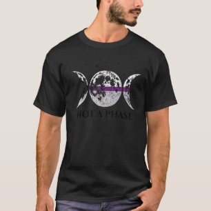 Demisexual Pride Flag Not A Phase   T-Shirt