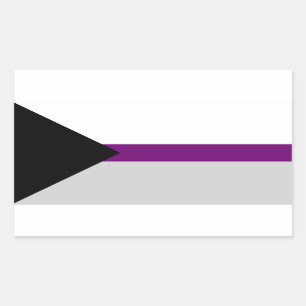 Demisexual Pride Rectangle Sticker