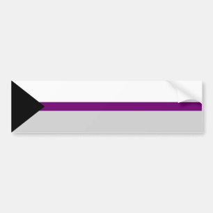 Demisexuality flag Bumper Sticker