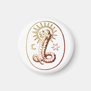 Demiurge Symbol Magnet