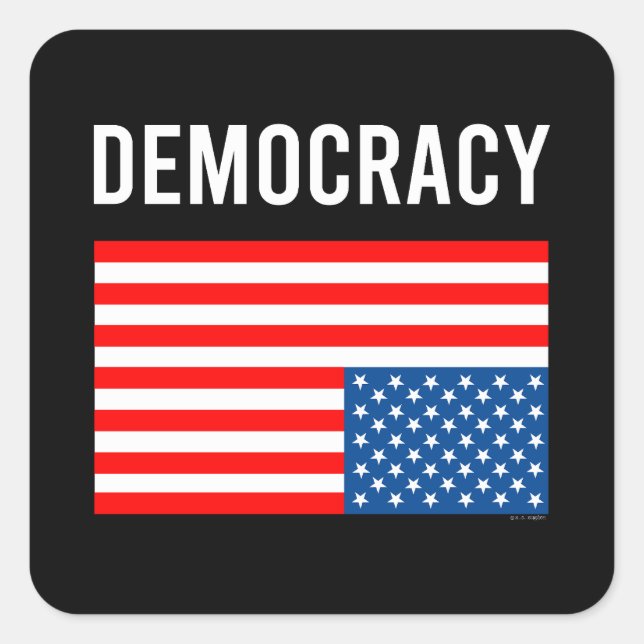 Democracy In Distress Square Sticker (Front)
