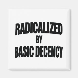 Democracy Social Radicalised By Basic Decency   Magnet
