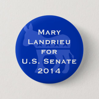 Democrat 2014 Button