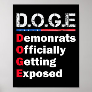 Democrat Officially Getting Exposed Poster