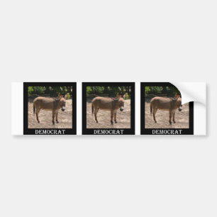Democratic Donkey Bumper Sticker