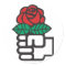 Democratic Socialism (the fist and rose symbol)