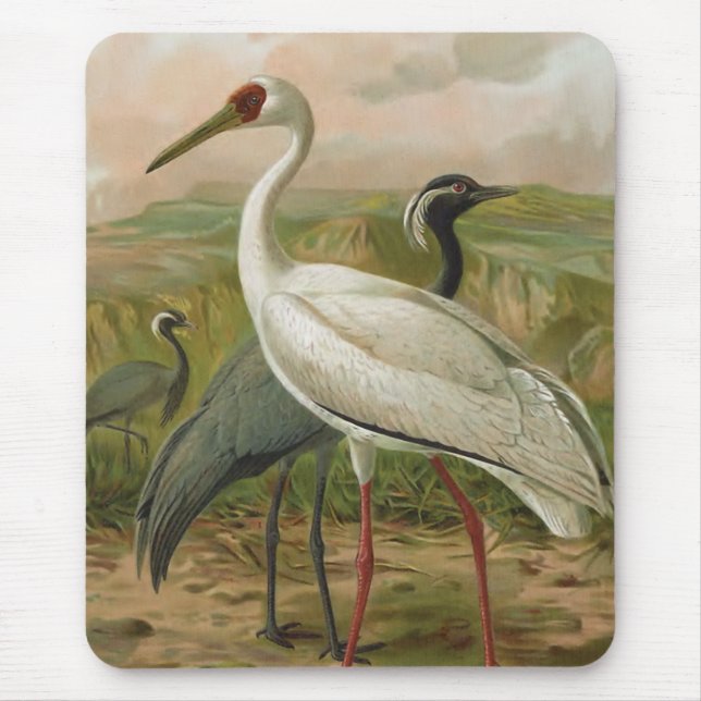 Demoiselle and Siberian Cranes Vintage Bird Mouse Mat (Front)