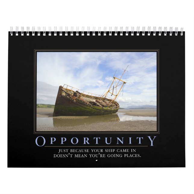 Demotivational Calendar Calendar (Cover)