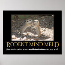 Demotivational Poster: Squirrel Mind Meld