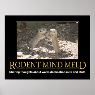 Demotivational Poster: Squirrel Mind Meld Poster