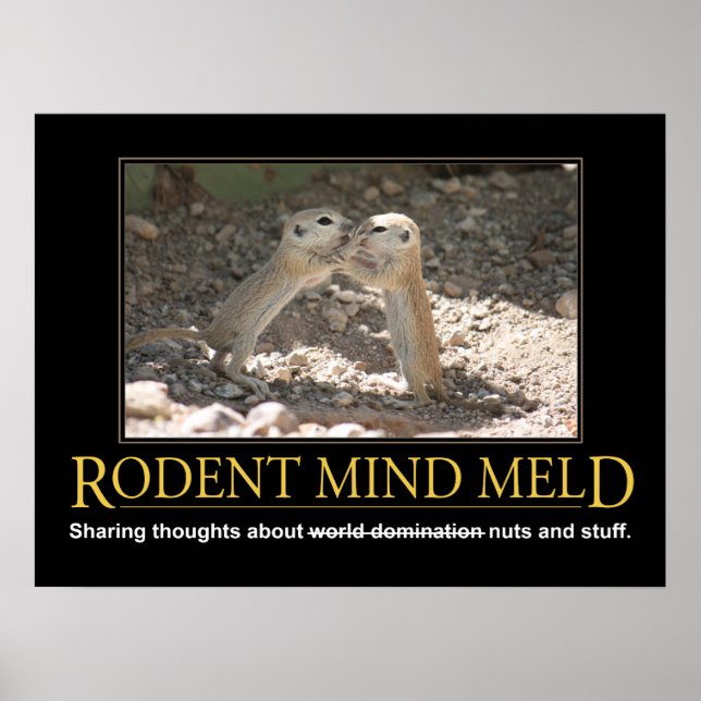 Demotivational Poster: Squirrel Mind Meld Poster (Front)