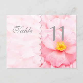 Demure Table Number Postcard