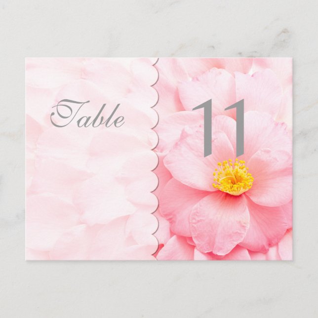 Demure Table Number Postcard (Front)