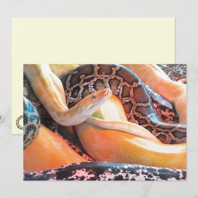 Den of Snakes Flat Greeting Card (Front/Back)