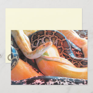 Den of Snakes Flat Greeting Card