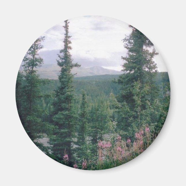 Denali -Alaska Magnet (Front)