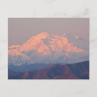 Denali at Sunrise Postcard