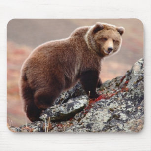 Denali Brown Bear Mouse Mat