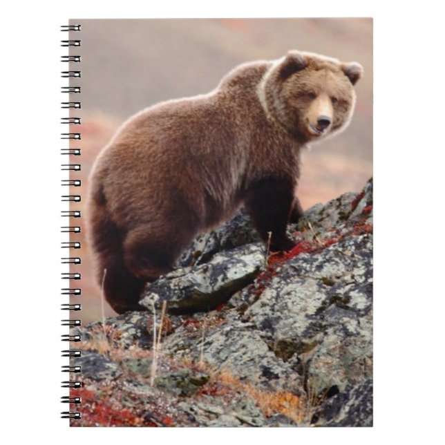 Denali Brown Bear Notebook (Front)
