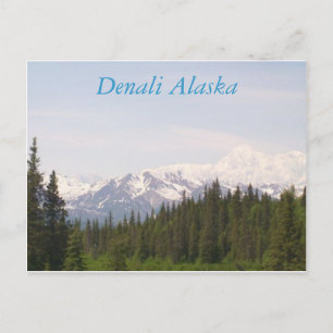 Denali, Denali Alaska Postcard