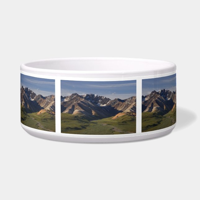 Denali National Park (Front)