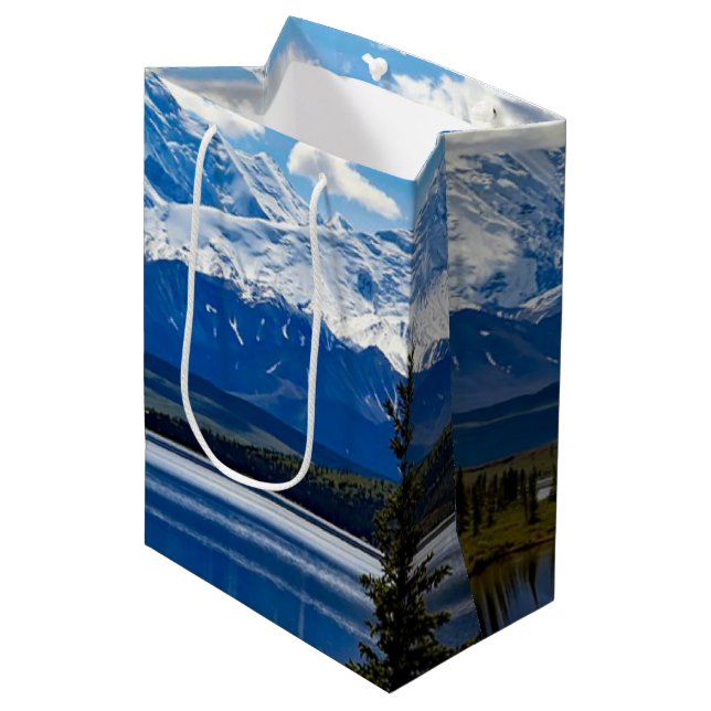 Denali National Park, Alaska Medium Gift Bag (Front Angled)