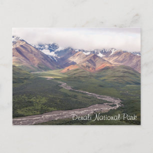 Denali National Park - Alaska   Postcard