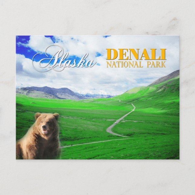 Denali National Park, Alaska Postcard (Front)