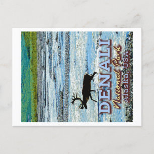 DENALI NATIONAL PARK - ALASKA UNITED STATES POSTCARD
