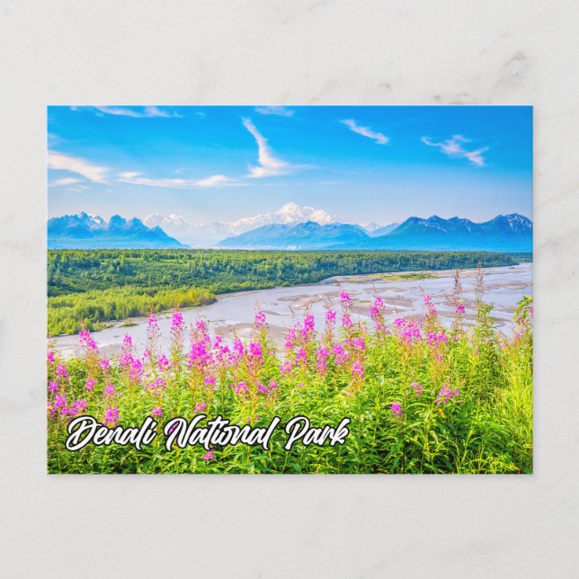Denali National Park and Preserve, Alaska Postcard (Front)