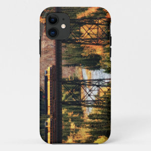 Denali National Park and Preserve USA Alaska iPhone 11 Case