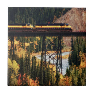 Denali National Park and Preserve USA Alaska Tile