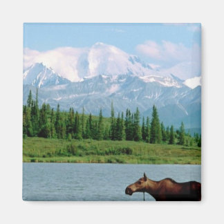 Denali National Park Magnet