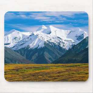 Denali National Park mousepad