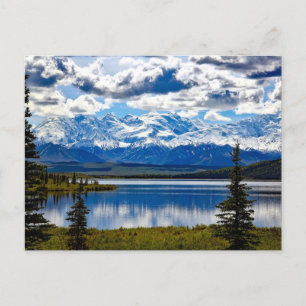 Denali National Park Postcard