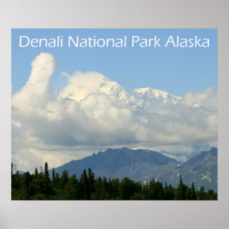Denali National Park Poster
