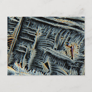 Dendritic crystals under the microscope postcard