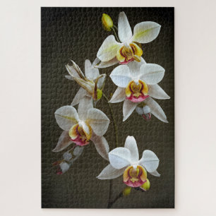 Dendroium Orchids Jigsaw Puzzle