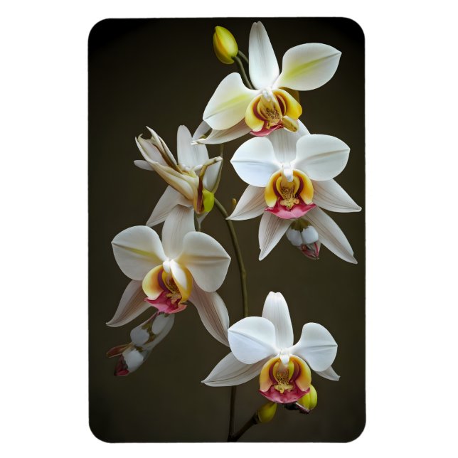 Dendroium Orchids Magnet (Vertical)
